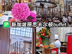 -新加坡丽思卡尔顿美年酒店