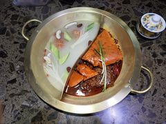 -小龙坎火锅(沙井店)