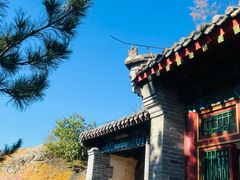 -磬锤峰森林公园
