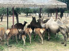 -西安秦岭野生动物园