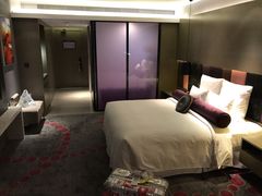 -南京禄口机场雅高铂尔曼大酒店