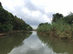 同里国家湿地公园-同里国家湿地公园