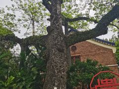 -广州中山纪念堂