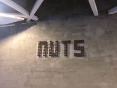 -坚果NUTS