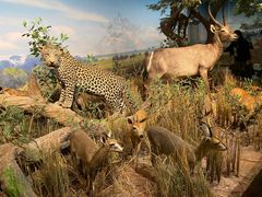 -陕西自然博物馆