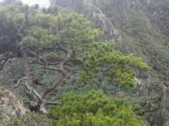 -大连天门山国家森林公园
