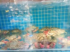 -蓝珊甄选海鲜自助·火锅大排档(近阿那亚店)