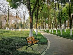 -后襄河公园