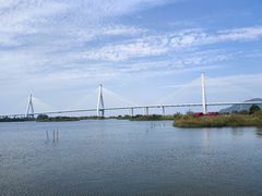 -芒洲湿地公园