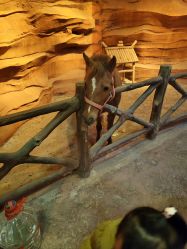 -酷嗒动物文化乐园(cutezoo西溪乐天城店)