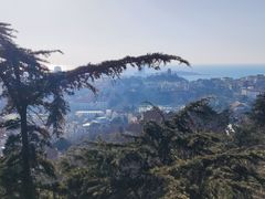 -信号山公园