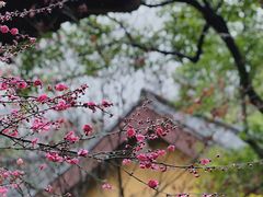 -慧因高丽寺