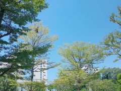-深圳大学(丽湖校区)