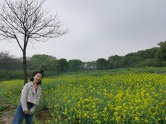 -杏花村文化旅游区