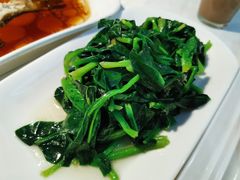时令蔬菜-云中小雅