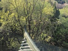 -南山公园