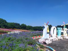 -松山湖梦幻百花洲