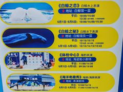 -秦皇岛乐岛海洋王国