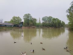 -西安浐灞国家湿地公园