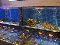 -金悦轩海鲜酒家(南宁店)