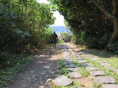-鹅銮鼻公园