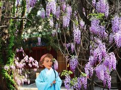 -北京国子监胡同