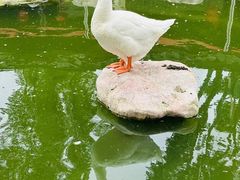 -龙华寺