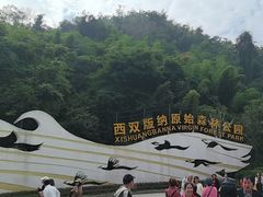 -西双版纳原始森林公园
