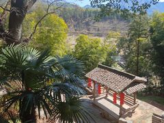 -塔川景区