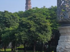 -顺峰山公园