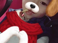 -大地影院(上海南汇店)