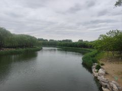 -大兴滨河森林公园