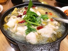 砂锅酸菜乌鱼片-陶德砂锅(蜀汉路店)