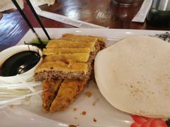 杂粮皮锅烧鸭-农厨好味·温泉鹅·农家菜