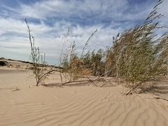 -库伦旗银沙湾旅游景区