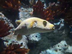 -福州罗源湾海洋世界旅游区