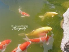 -罗红摄影艺术馆