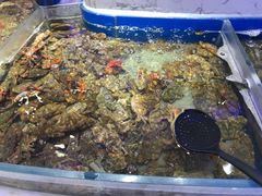 -澜悦港海鲜体验主题餐厅