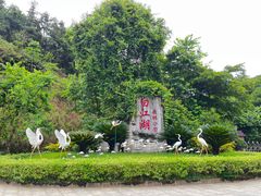 -广州白江湖森林公园