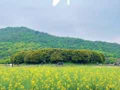 -八卦田遗址公园