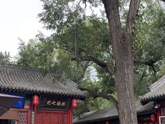 -晋祠公园
