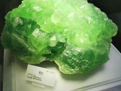 -湖南省地质博物馆