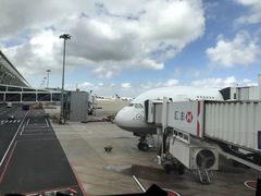 -德国汉莎航空公司