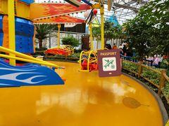 -南宫五洲植物乐园