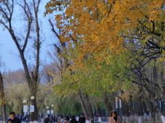 -二一九公园