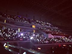 -南京奥林匹克体育中心-体育馆