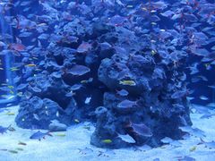 -成都浩海立方海洋公园