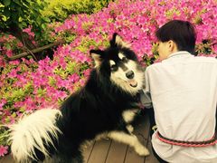 -南翔镇银翔湖公园