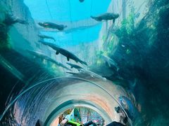 -新加坡水上探险乐园