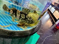 -海旺小海鲜大排档(冠亚星城店)